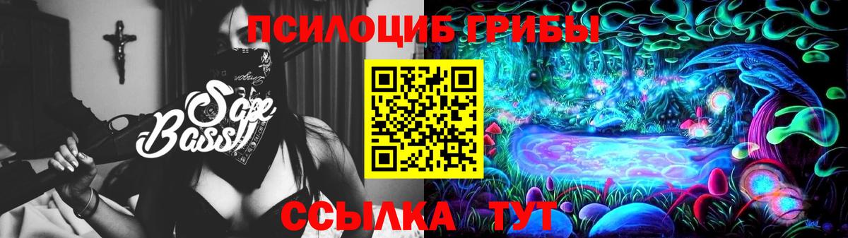Псилоцибиновые грибы MAGIC MUSHROOMS  Вход с VPN  Кыштым 