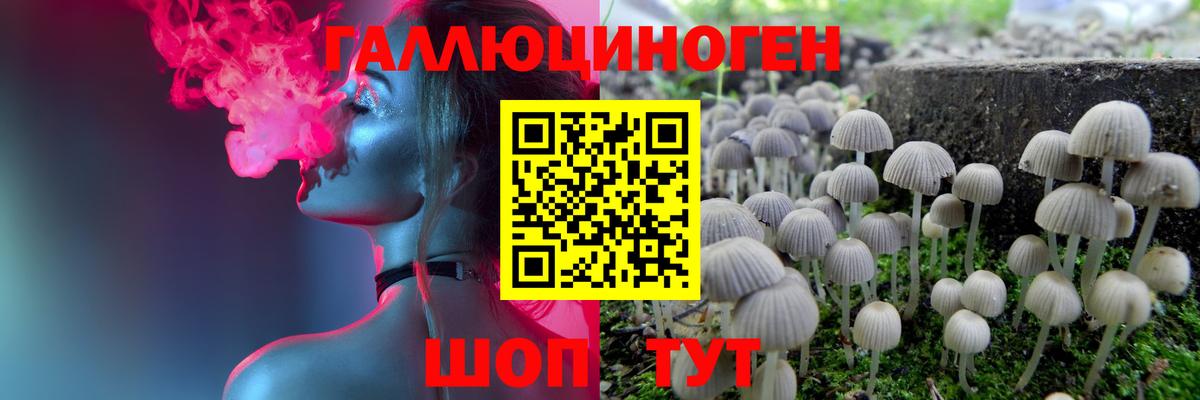 Галлюциногенные грибы Psilocybine cubensis Кыштым